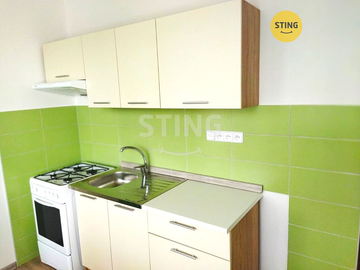 Pronájem bytu 1+1 39 m²