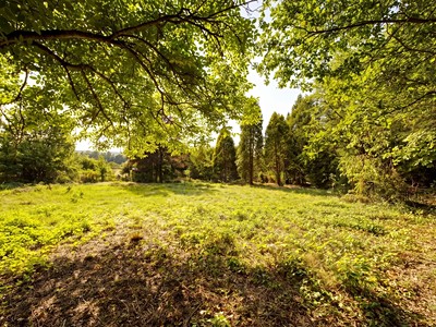 Prodej  stavebního pozemku 1 372 m²
