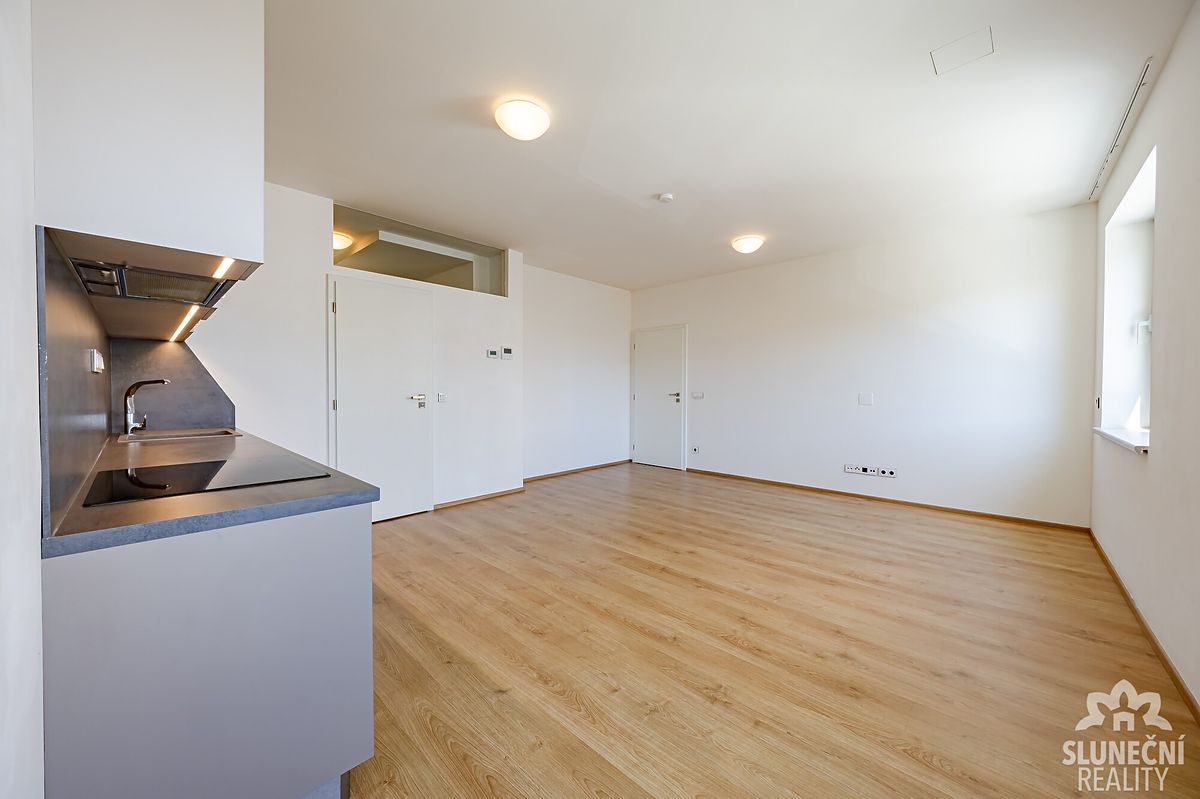 Pronájem bytu 3+kk 60 m² – fotografie 4
