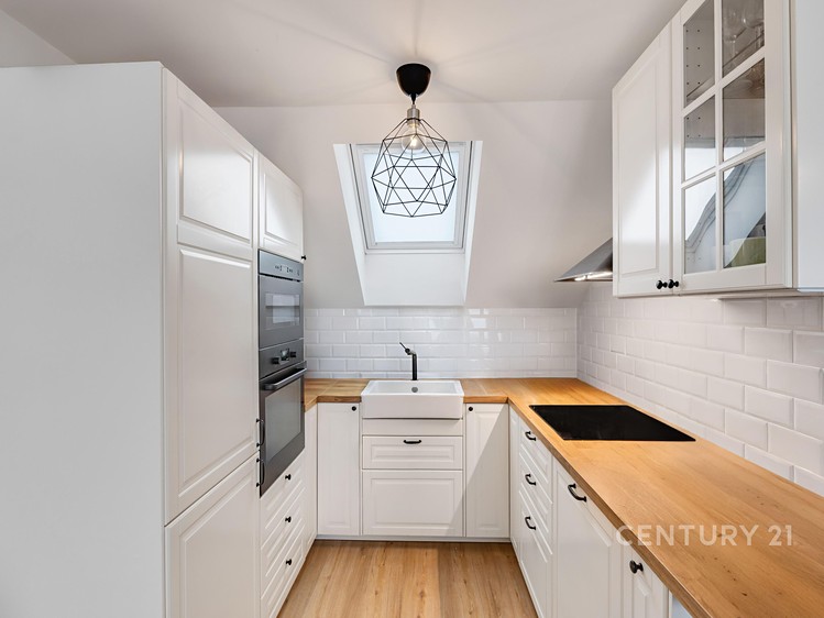 Prodej domu, 375 m² (8 z 22)