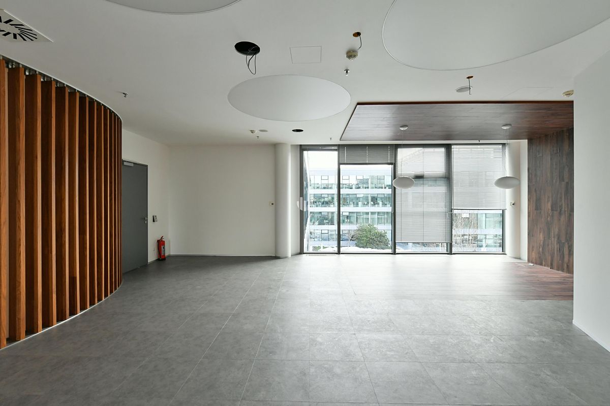 Pronájem kanceláře 200 m² – fotografie 3
