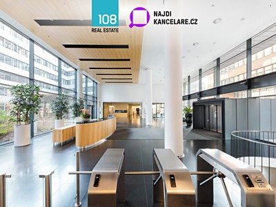 Pronájem komerčního prostoru, 650 m² (2 z 7)