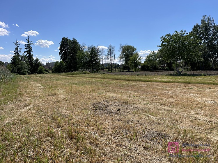 Ділянка на продаж, 4 463 м² (15 з 21)
