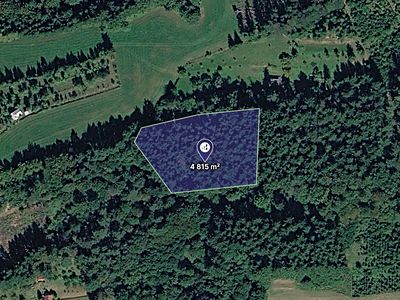 Prodej lesa 4815 m²