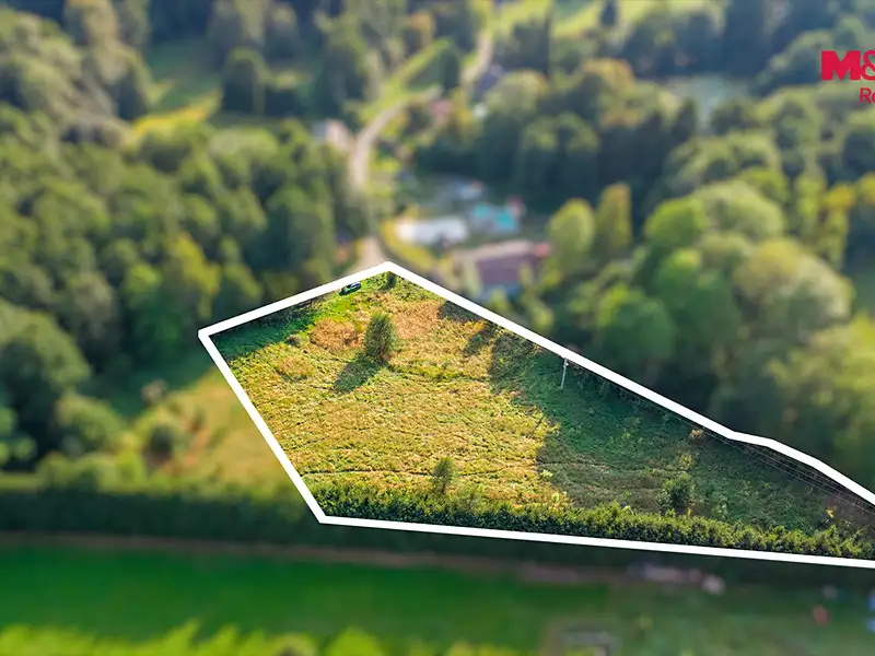 Prodej louky 5500 m², Nový Bor – náhled fotky 3