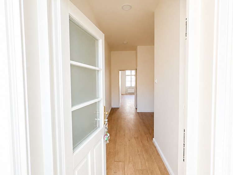 Prodej bytu 1+1, 52 m² (4 z 13)