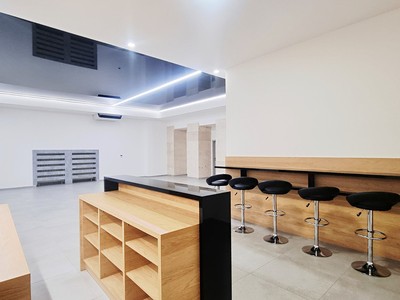 Pronájem komerční nemovitosti 233 m²