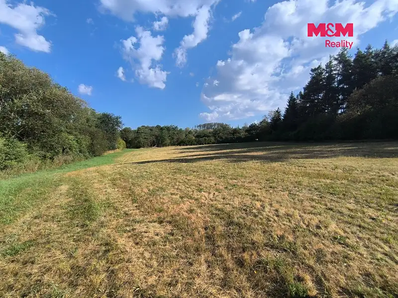 Prodej louky 33748 m², Hoslovice – náhled fotky 3