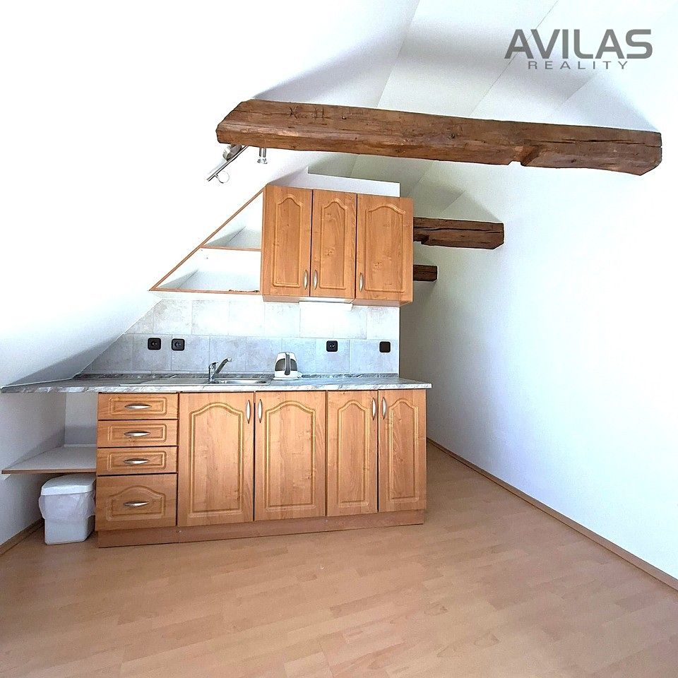 Pronájem bytu 1+kk 48 m²