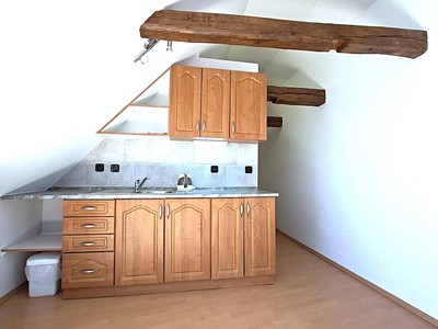 Pronájem bytu 1+kk 48 m²