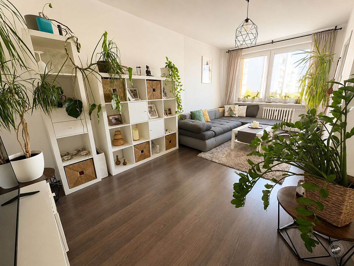 Pronájem bytu 2+1 60 m²