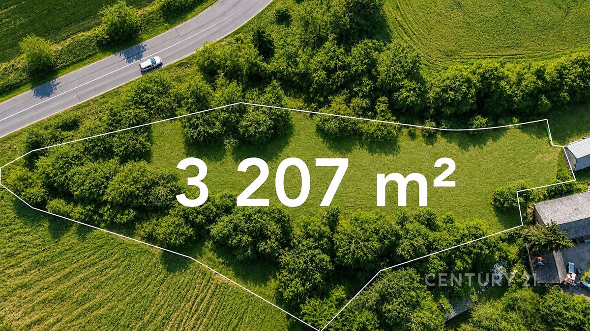 Prodej stavebního pozemku 3207 m², Všesulov – fotka 1 z 3
