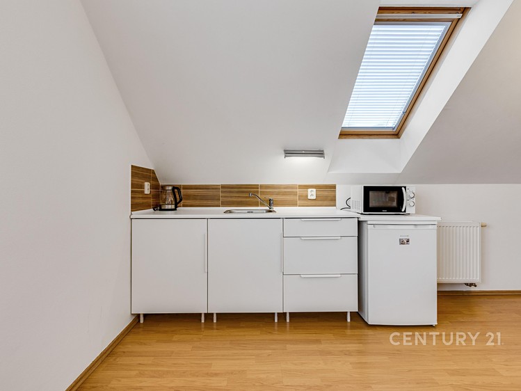 Prodej domu, 375 m² (17 z 22)