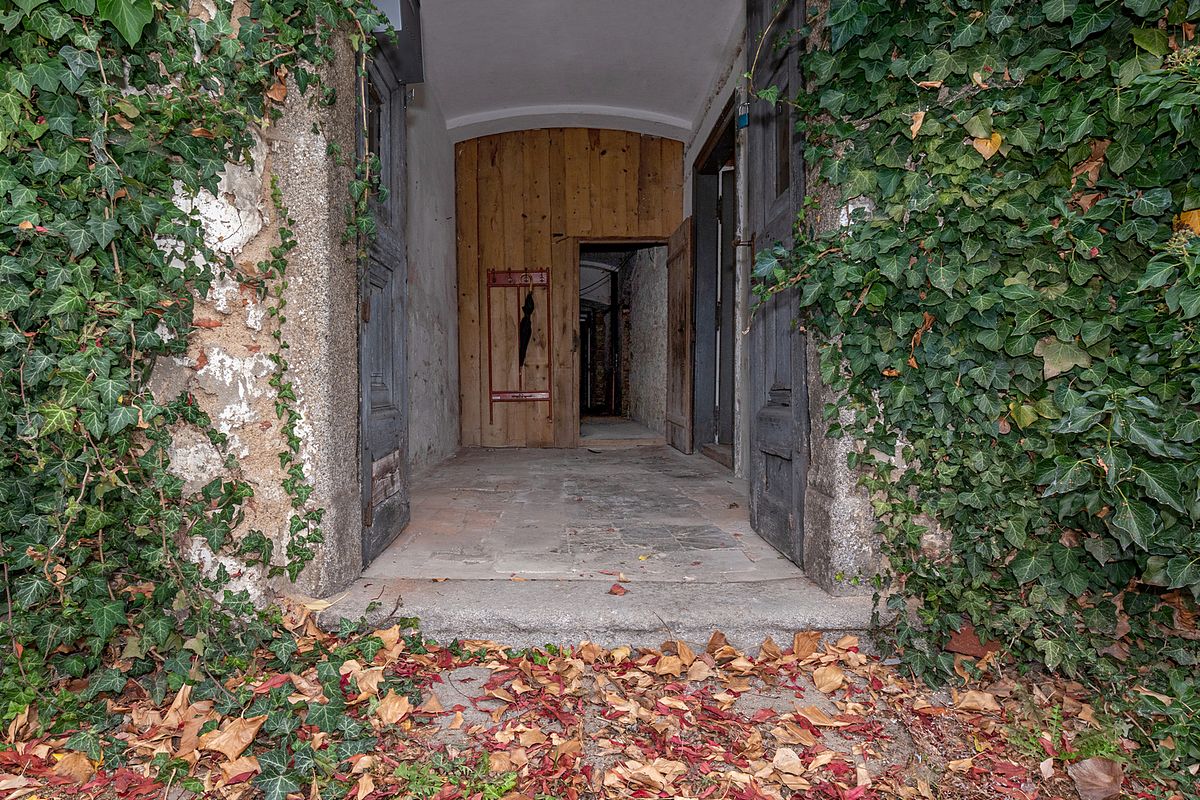 Prodej památky 450 m², pozemek 1167 m² – fotografie 3