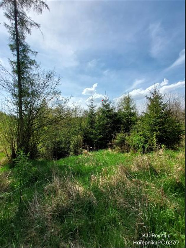 Prodej lesa 12639 m²