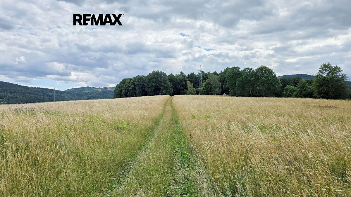 Prodej lesa 26680 m² – fotografie 2