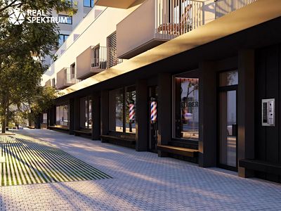 Pronájem obchodního prostoru 263 m²