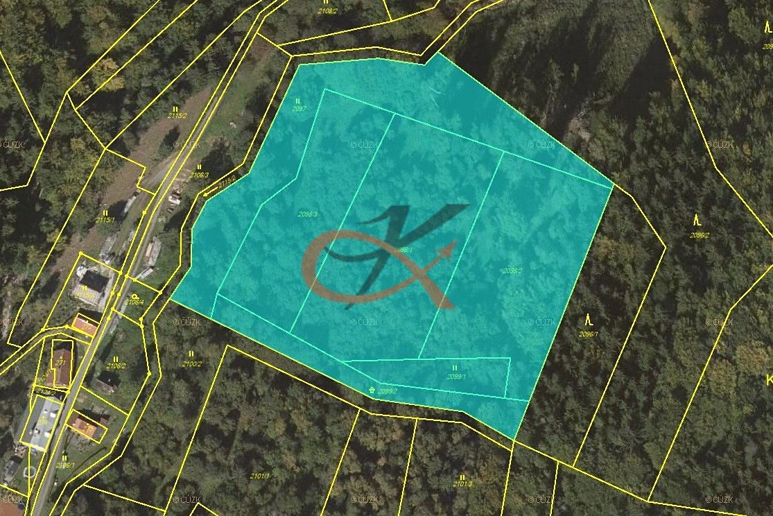 Prodej lesa 15729 m²