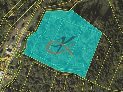 Prodej lesa 15729 m²