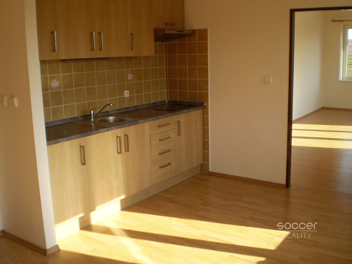 Pronájem bytu 1+1 51 m²