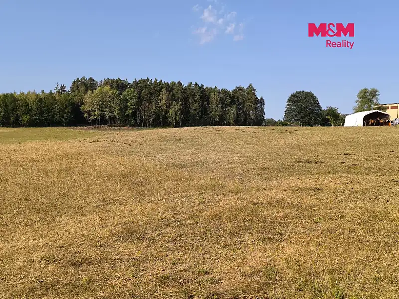 Prodej louky 2004 m², Hoslovice – náhled fotky 2