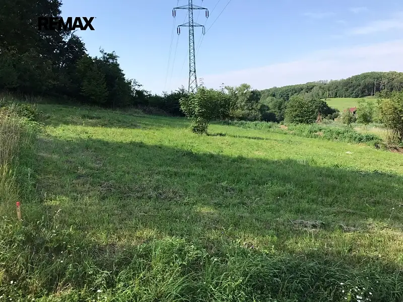Prodej zahrady 1851 m², Stebno – náhled fotky 3