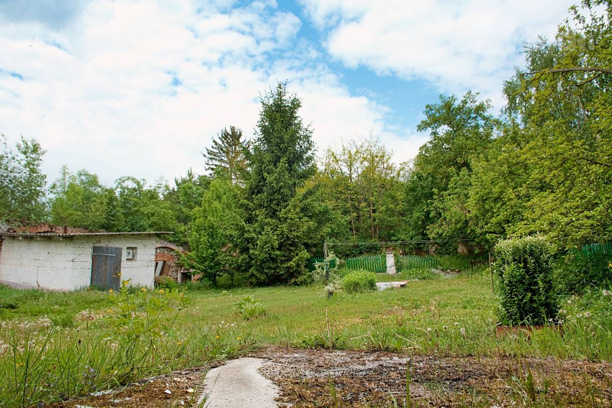 Prodej rodinného domu 391 m², pozemek 1250 m² – fotografie 5