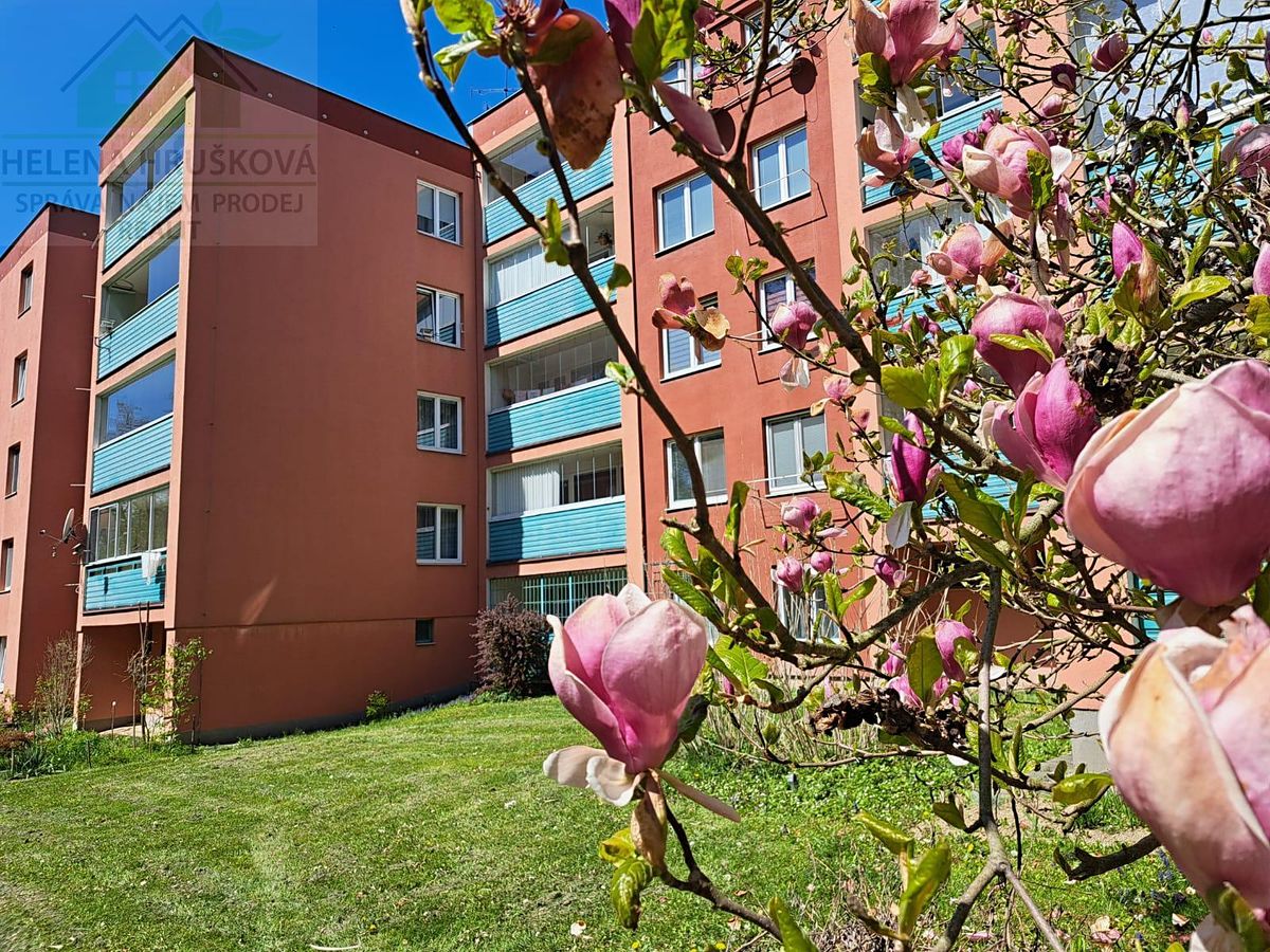 Pronájem bytu 2+kk 46 m²