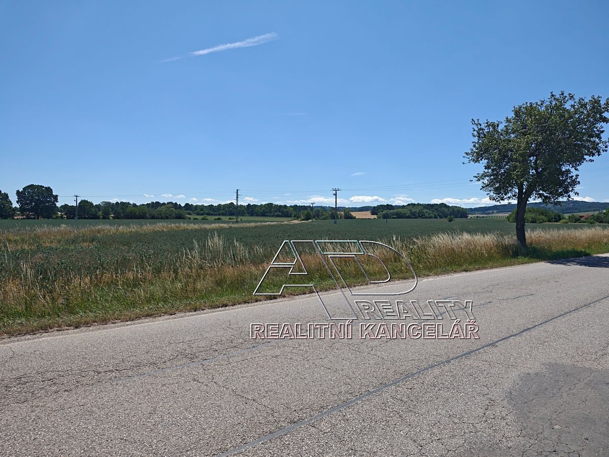 Prodej pole 3872 m² – fotografie 4