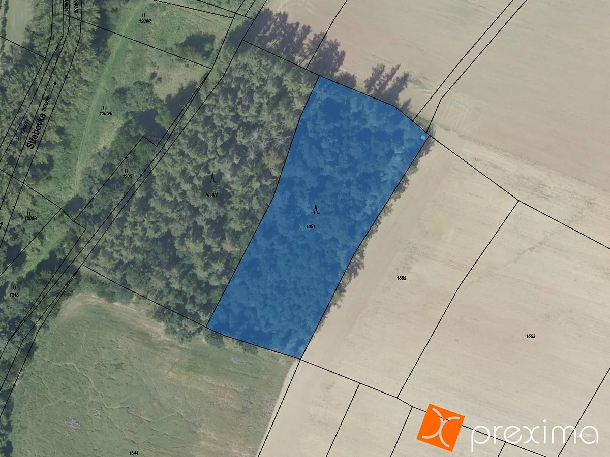 Prodej lesa 13811 m²