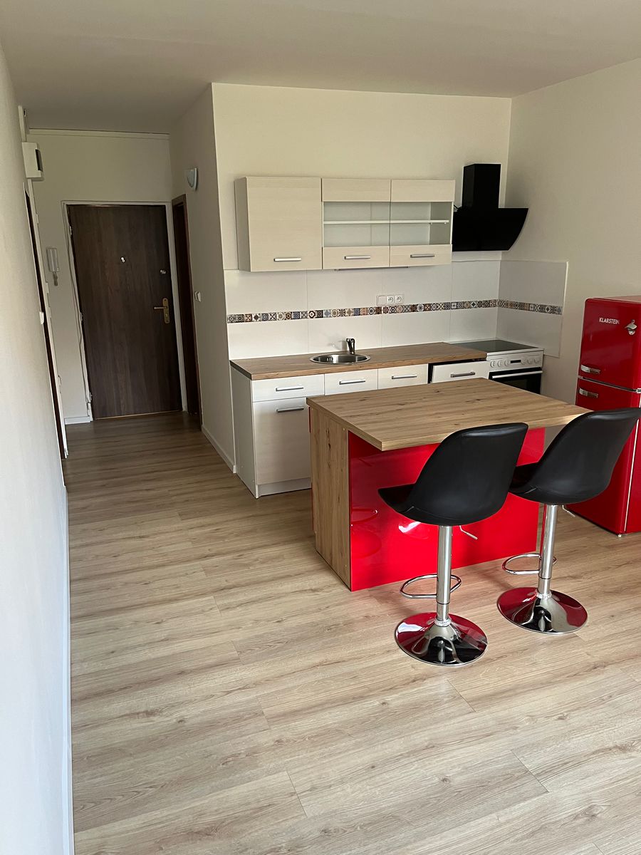 Pronájem bytu 1+1 44 m²