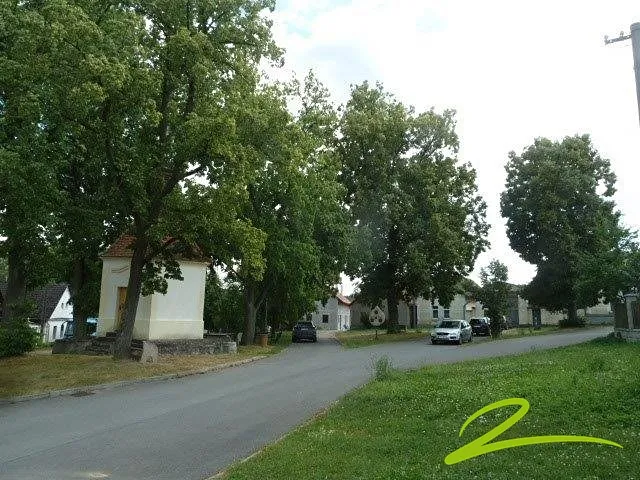 Fotka 10 z 12