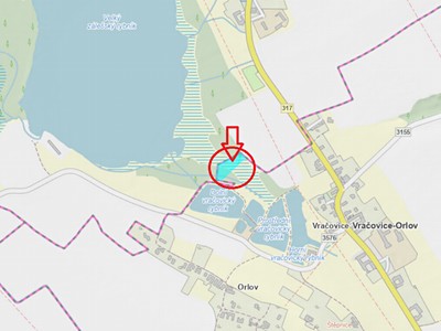 Prodej podílu 1/2  lesa 2 036 m²