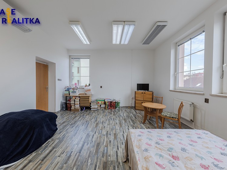 Prodej komerčního prostoru, 347 m² (16 z 30)