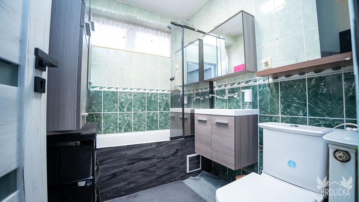 Prodej rodinného domu 250 m², pozemek 1197 m² – fotografie 4