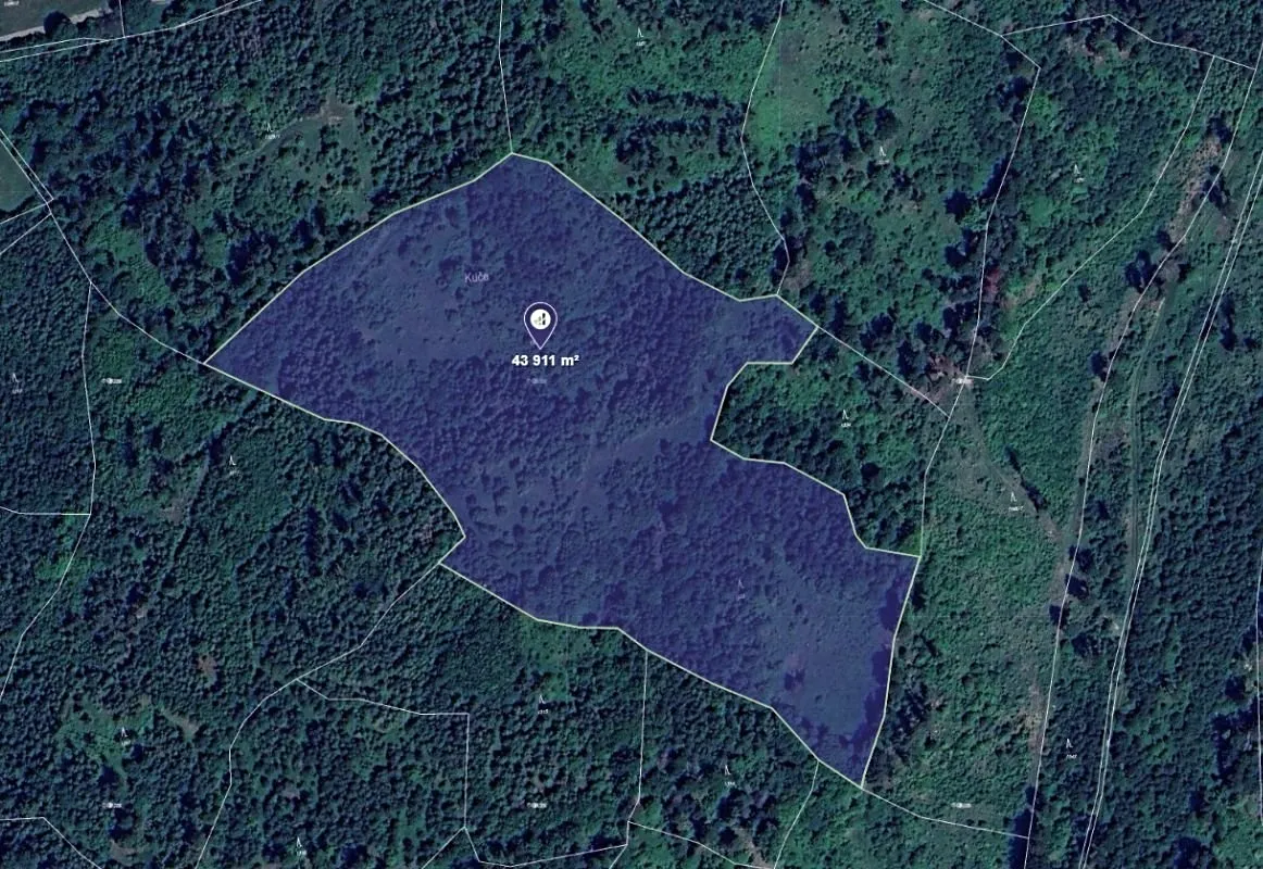 Prodej lesa 43911 m²