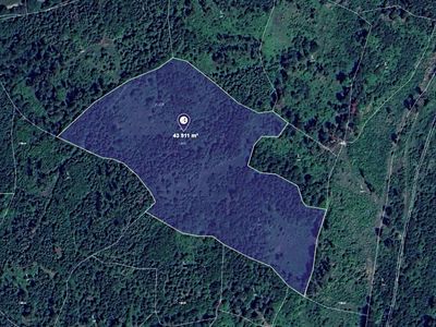 Prodej lesa 43911 m²