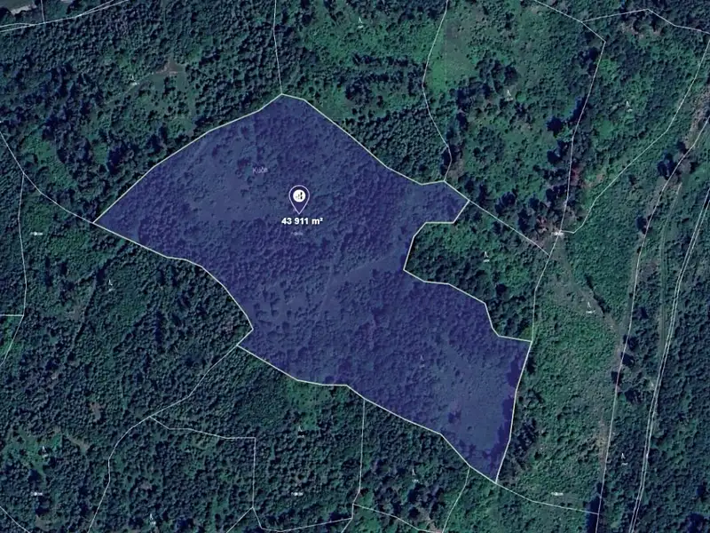 Prodej lesa 43911 m², Olšovec – náhled fotky 1