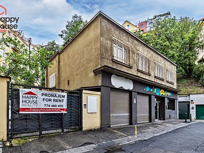 Pronájem komerčního prostoru, 411 m² (2 z 44)