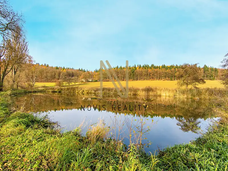 Prodej rybníku (vodní plochy) 2713 m², Týnec – náhled fotky 1
