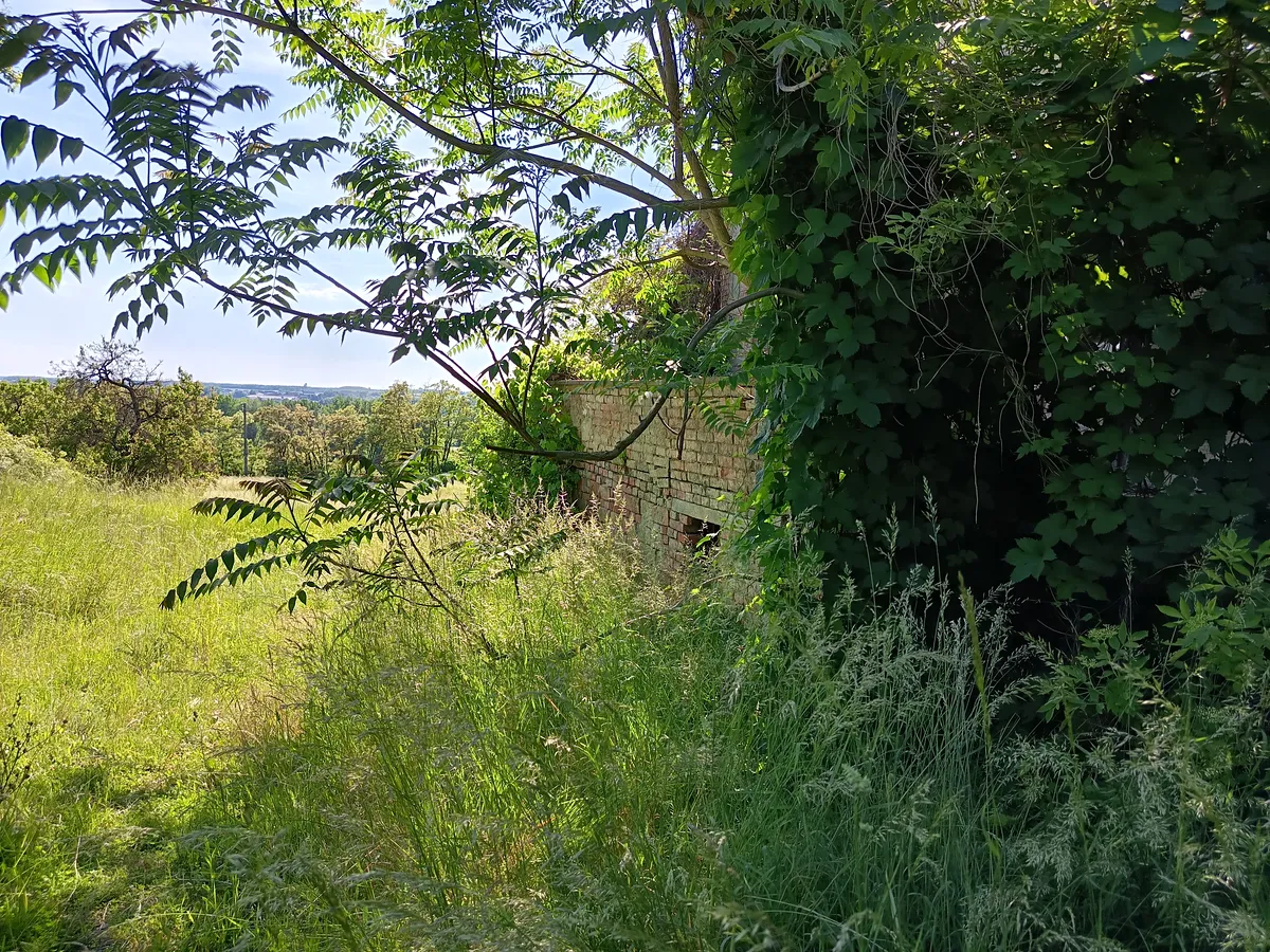 Fotka 10 z 18