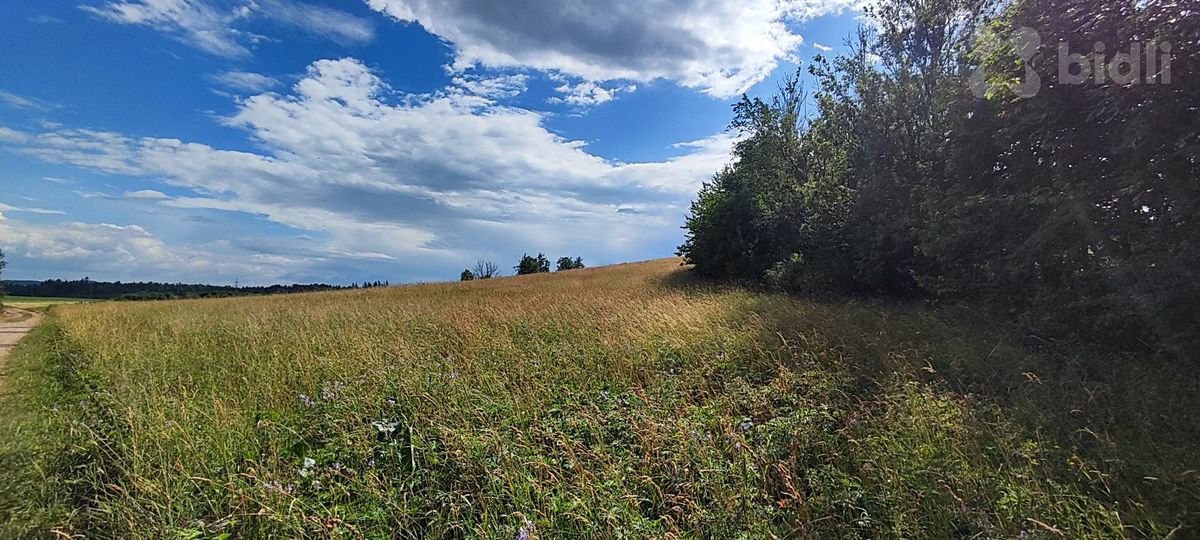 Prodej stavebního pozemku 1437 m² – fotografie 2