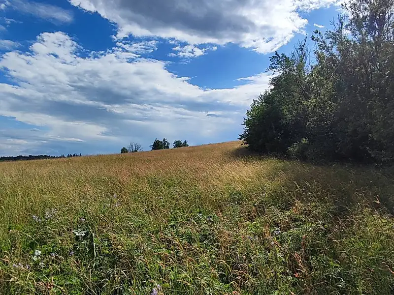 Prodej stavebního pozemku 1437 m², Dolní Lánov – náhled fotky 2