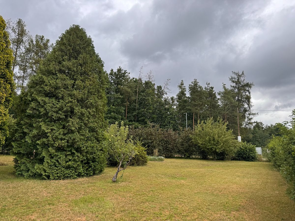 Prodej rodinného domu 200 m², pozemek 1617 m² – fotografie 5