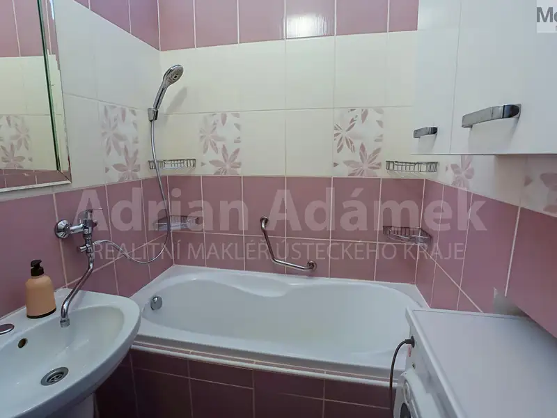 Prodej bytu 2+1 49 m², Duchcov – náhled fotky 3