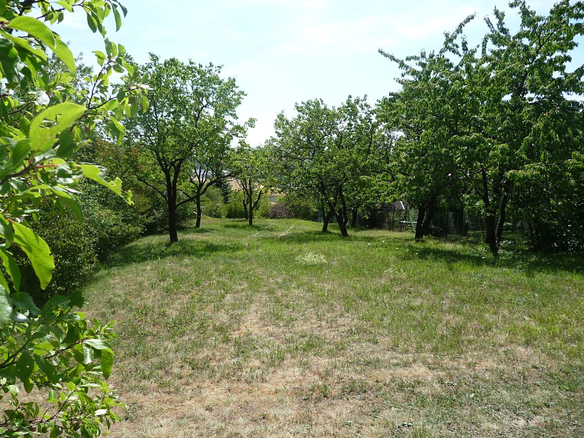 Prodej zahrady 1143 m²