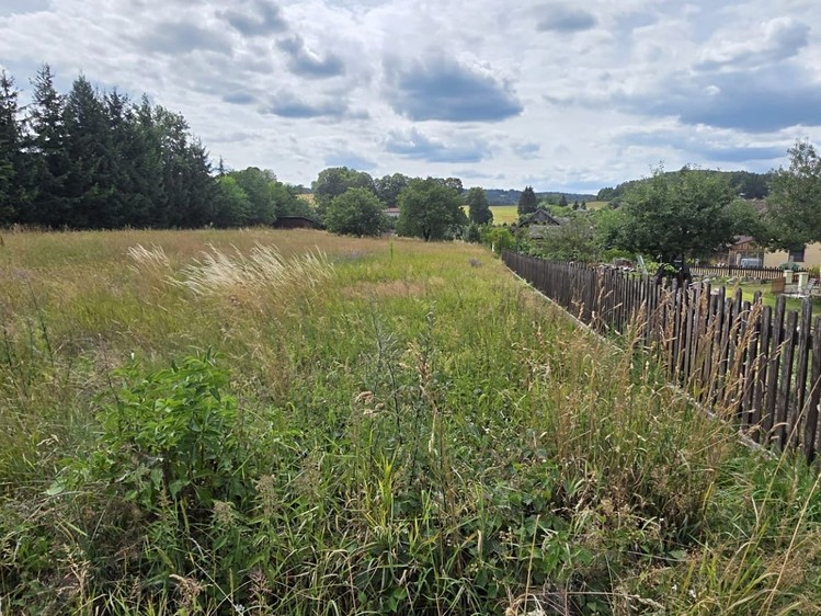 Grundstück zum Kauf, 1.603 m² (4 von 10)