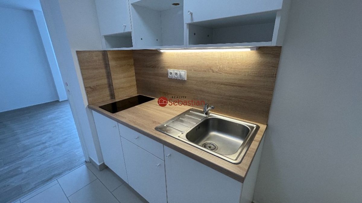 Pronájem bytu 1+1 41 m²