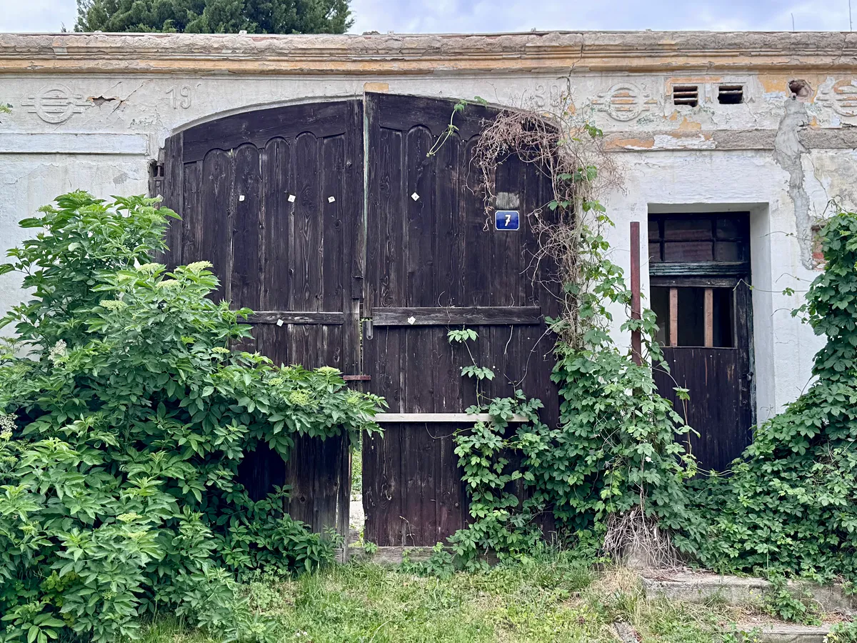 Fotka 16 z 16