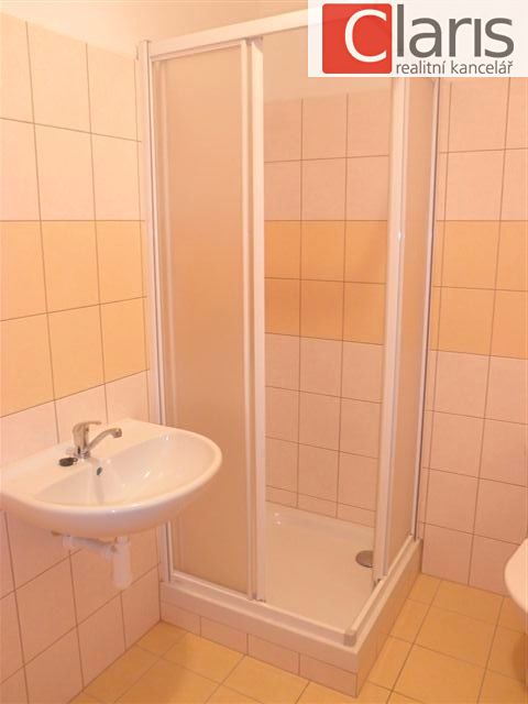 Pronájem bytu 1+kk 31 m² – fotografie 3